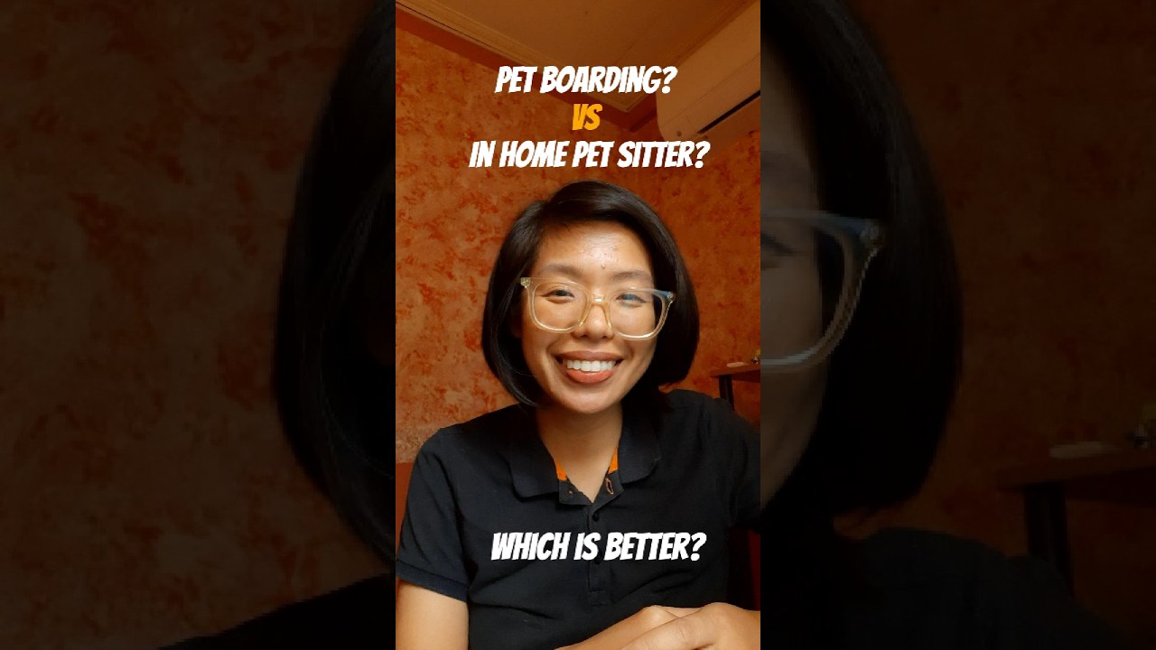 Pet Boarding VS In-Home Pet Sitting: Pros & Cons (TAGLISH)