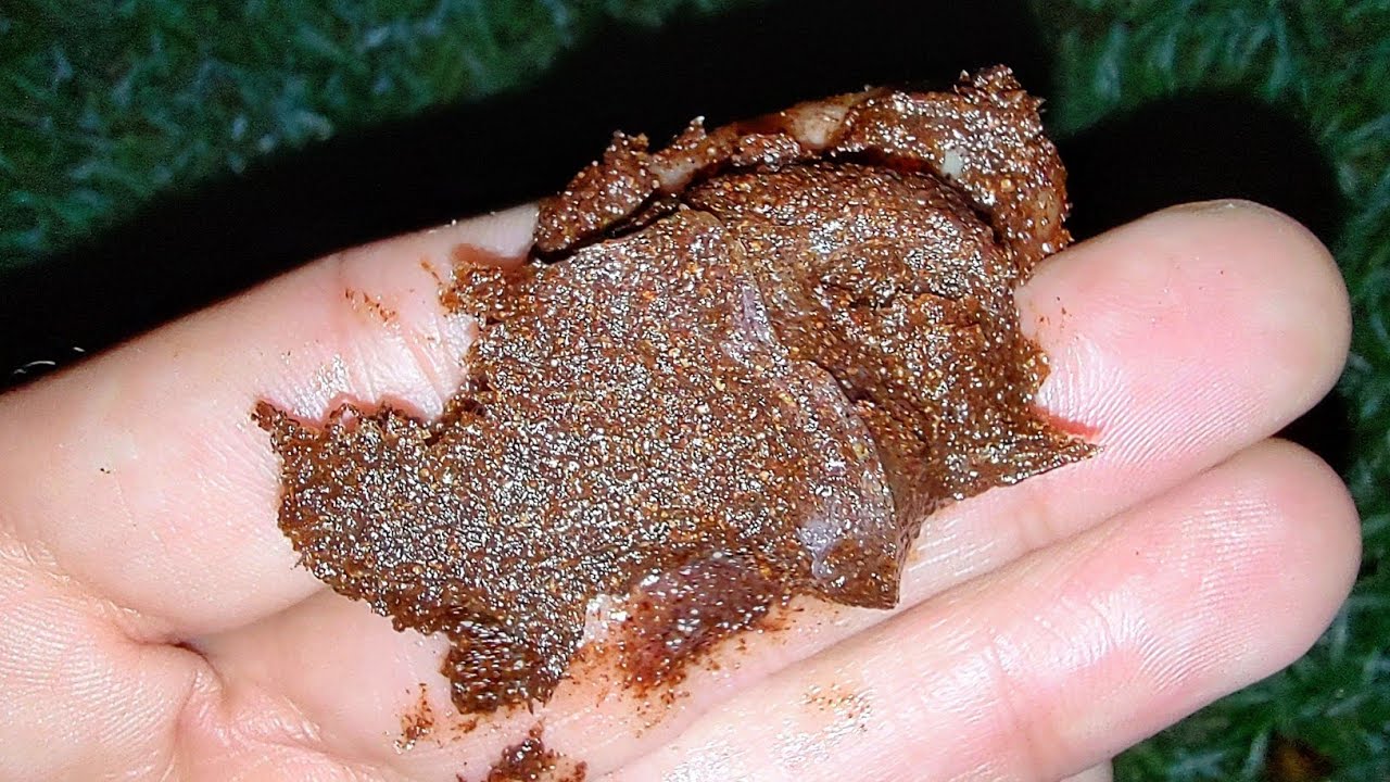 CICATRIZANTE CASEIRO PARA AS PLANTAS.