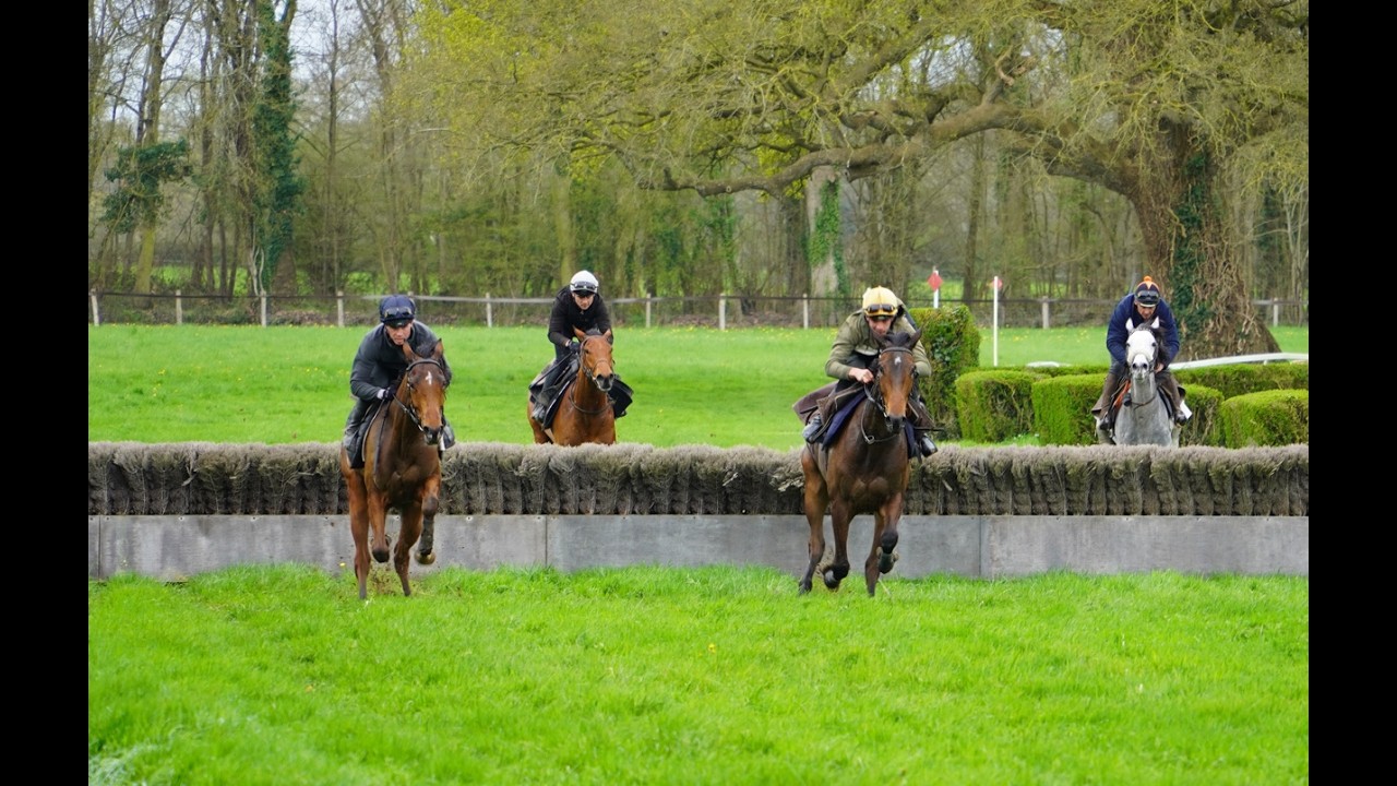 La réouverture des gazons publics plat et obstacles sur l'hippodrome de Segré.