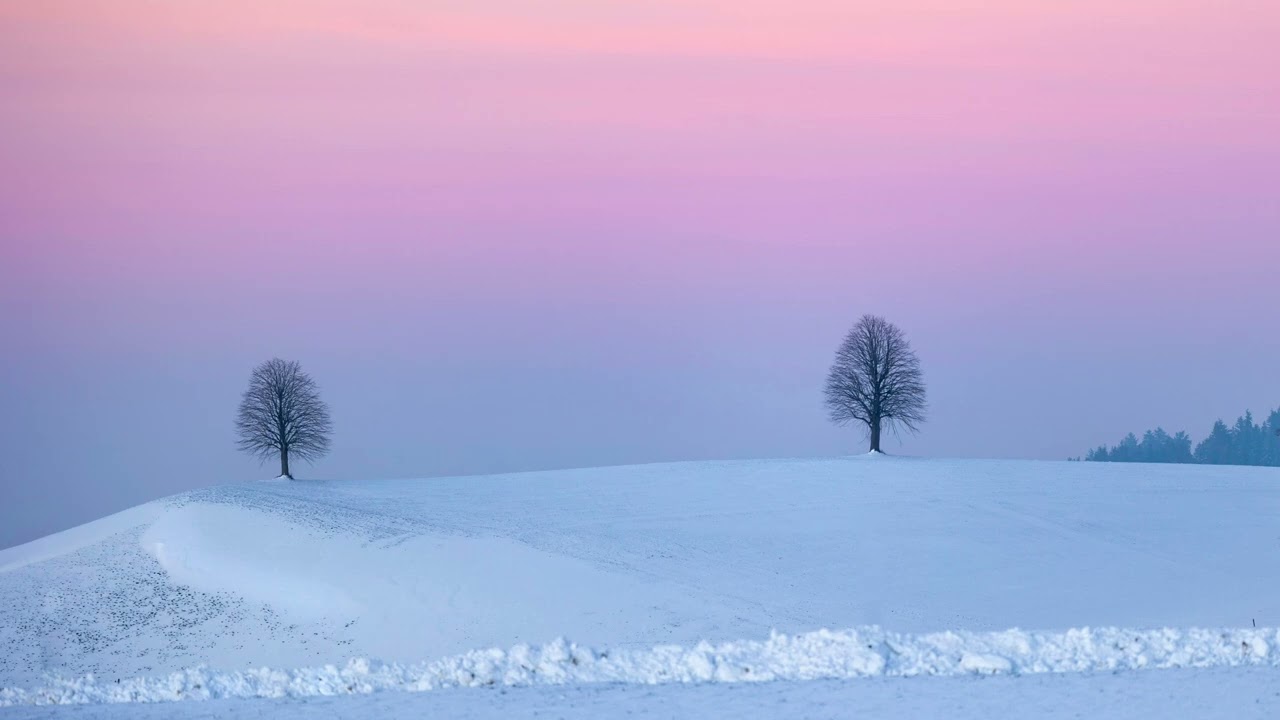 [Playlist] A Warm Rest for a Cold Winter Night