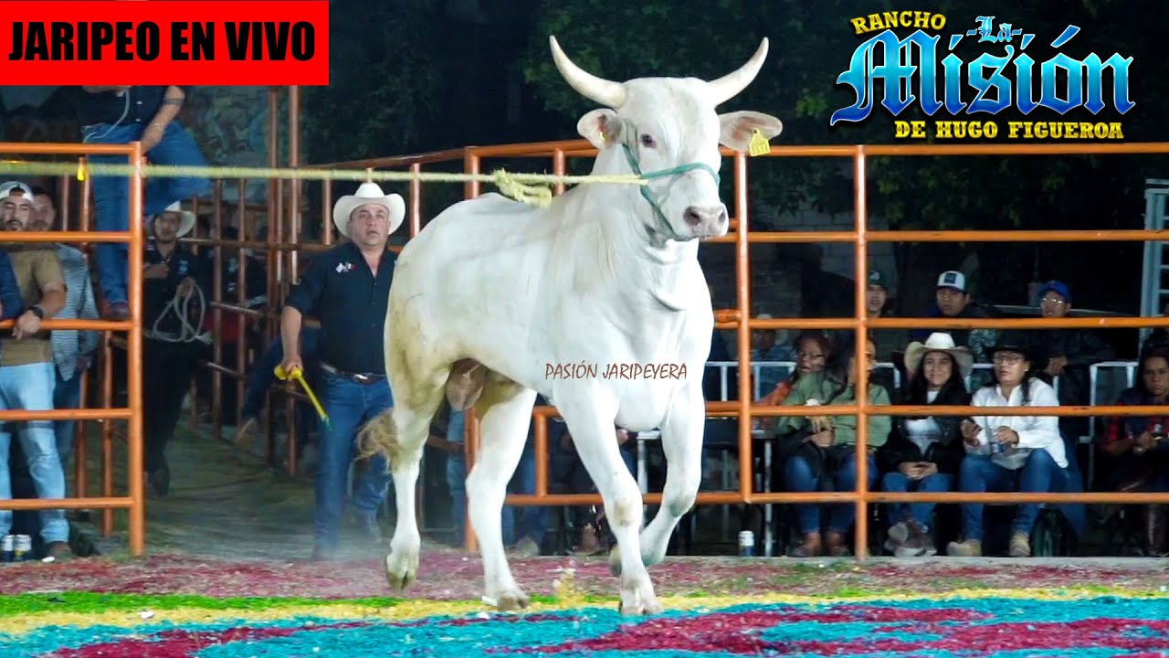 🔴 RANCHO LA MISIÓN en Vivo 🔴 Morelos 17 Agosto 2024 | Jaripeo COMPLETO