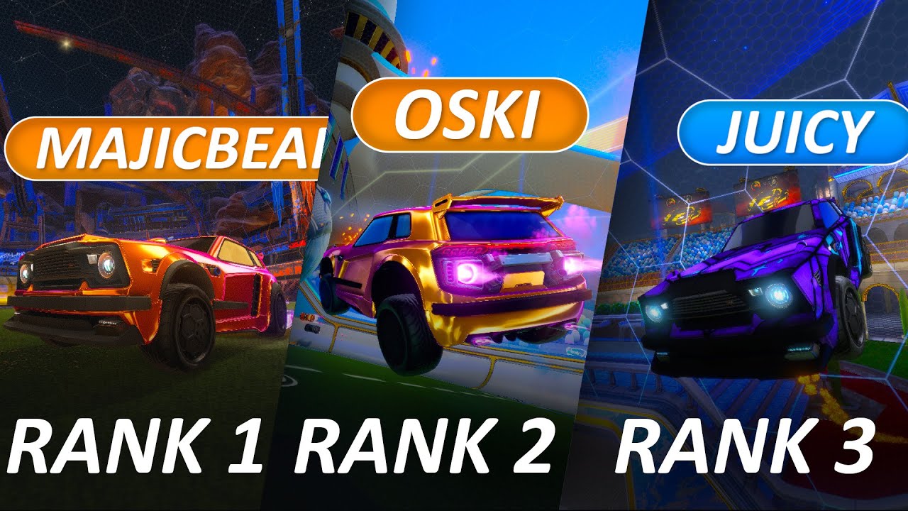 TOP 3 MajicBear / Oski / Juicy Comparison