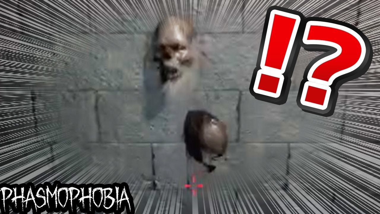 こういう笑えるバグは残しておいてほしい【Phasmophobia】