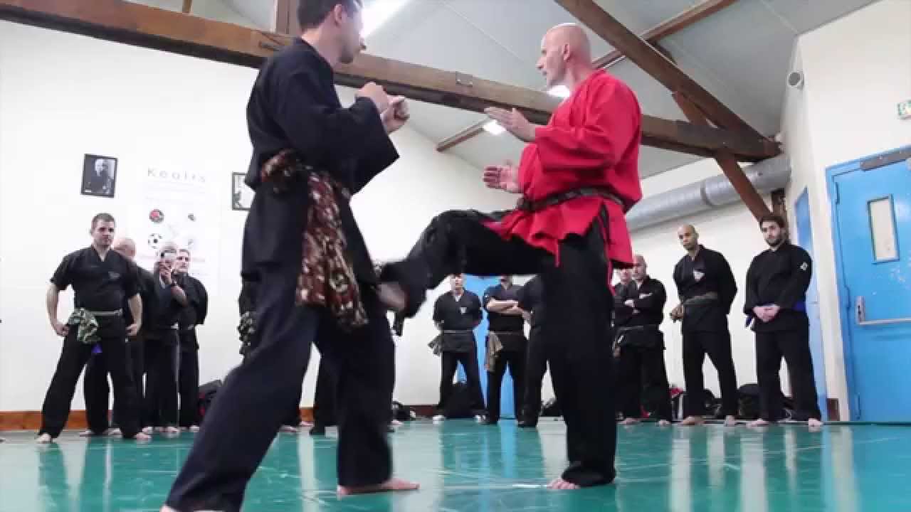 METTRE UN COUP DE PIED ECRASANT par Franck ROPERS