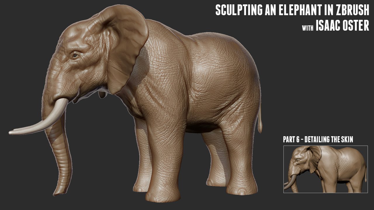 Sculpting an Elephant with Isaac Oster - Part 6