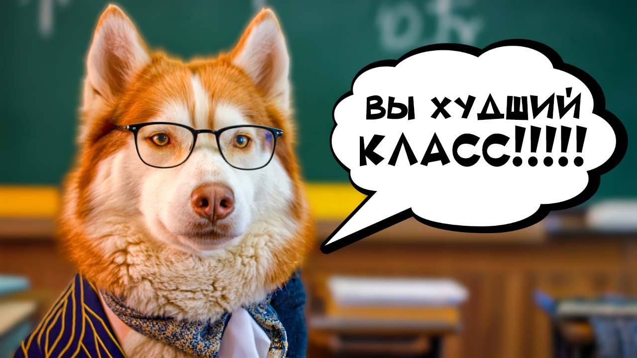 НАС ОСТАВИЛИ НА ВТОРОЙ ГОД!! ЕСЛИ БЫ ПЁСИКИ ХОДИЛИ В ШКОЛУ   Хаски Бублик Говорящая собака