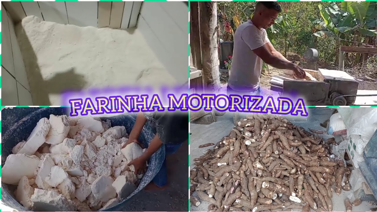 FAZENDO FARINHA 