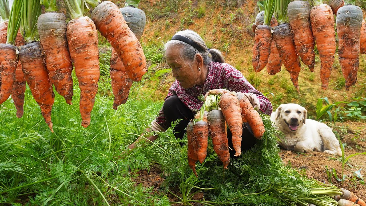 胡蘿蔔還能這樣吃？今天教你新做法，大人小孩都愛吃｜Grandma made carrot delicacy that children like｜Chinese Food 广西 美食｜ 玉林阿婆