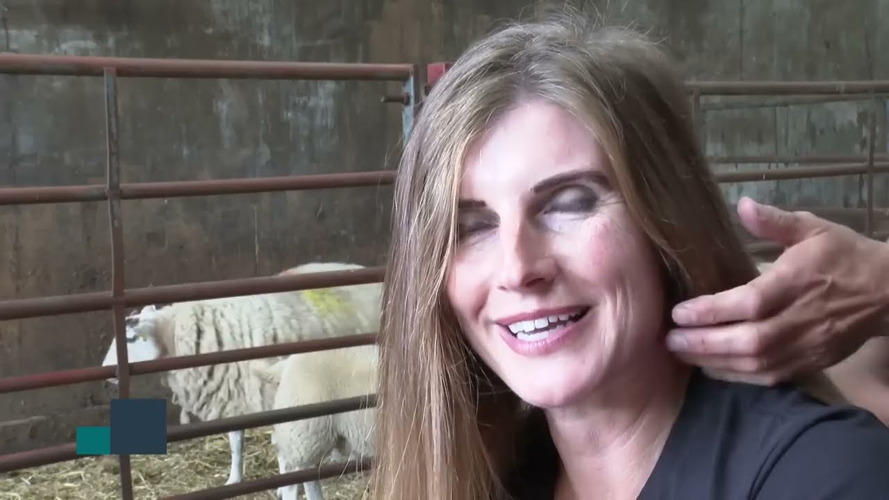 Yorkshire Shepherdess haircut