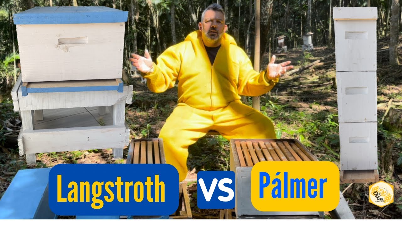 Como transformar uma colmeia Padrão em uma Colmeia Pálmer! 
