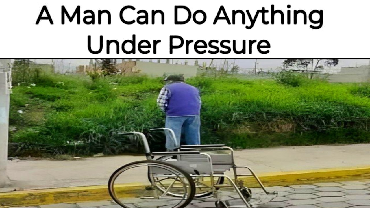 Funny Memes