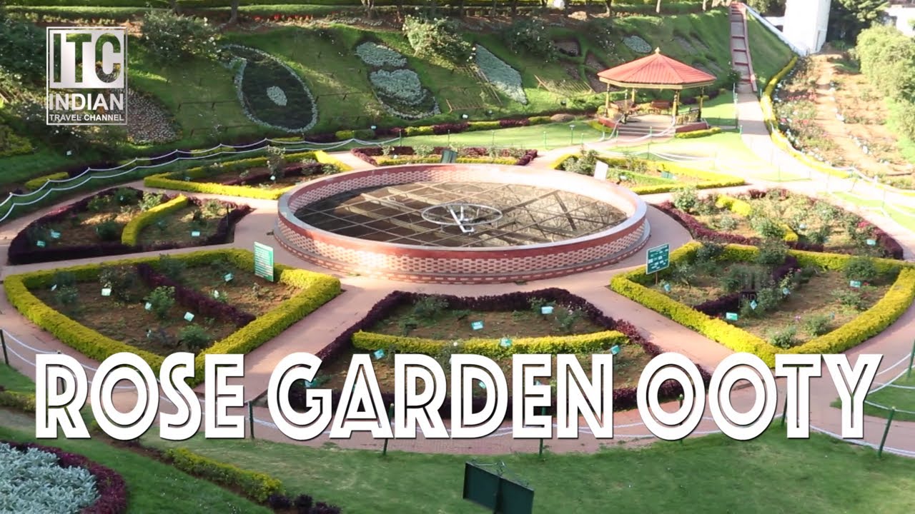 ROSE GARDEN, OOTY, INDIA