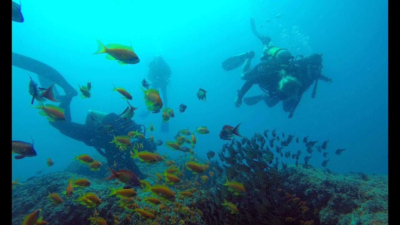 BAPT&Ecirc;ME DE PLONG&Eacute;E AU MOZAMBIQUE - Afrique - Nomades 2.0