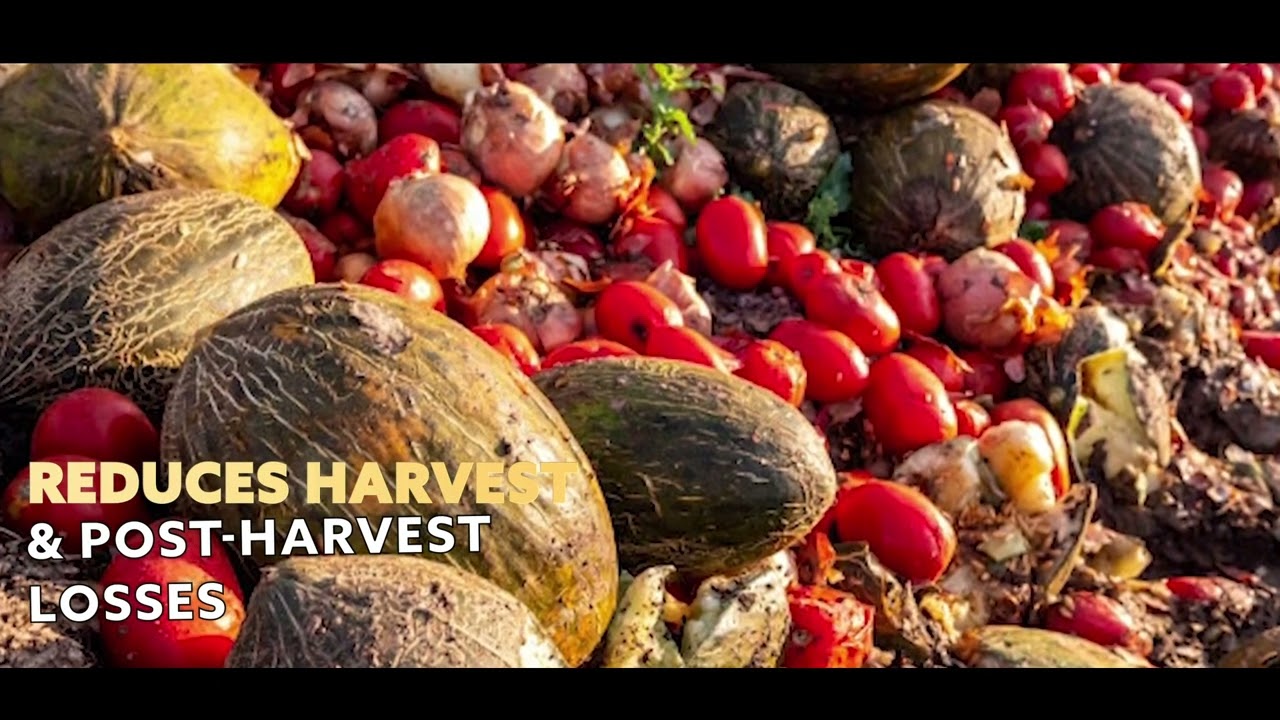 Indian Horticulture - Potential and Opportunity for Investments and Exports