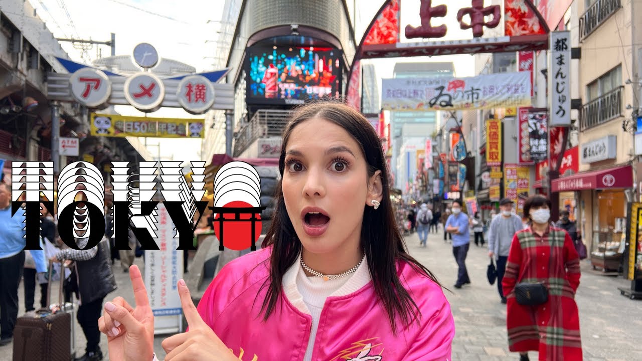 Cazando ofertas en un mercado de piratería en Tokio - Japón