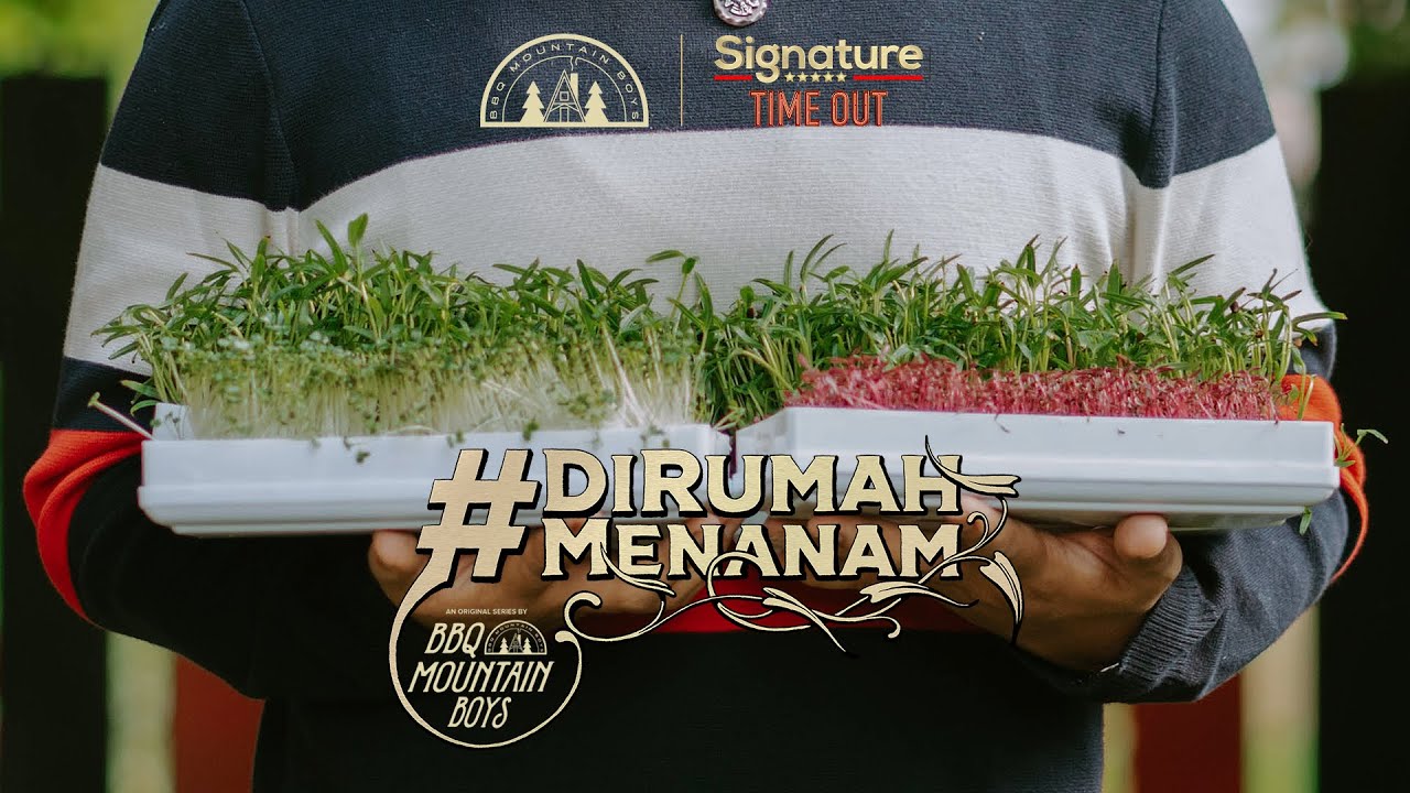 Di Rumah Menanam Episode 2 : Microgreens
