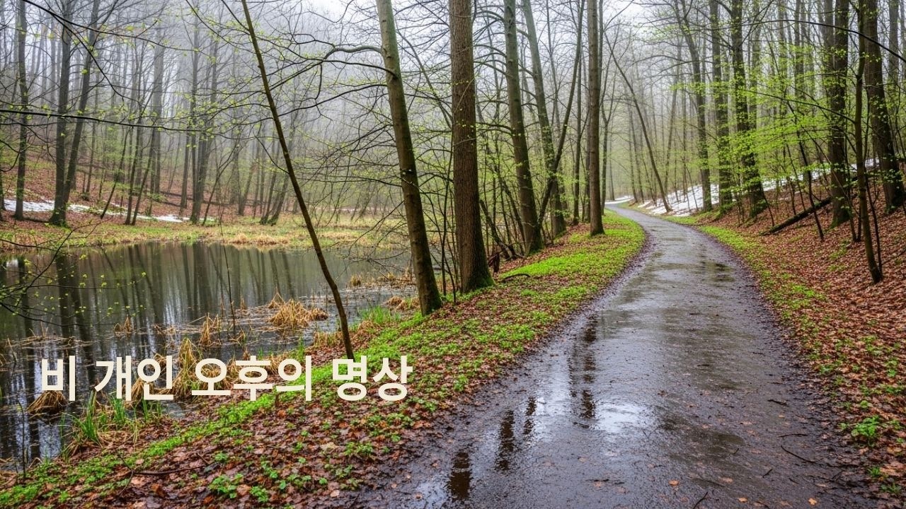 비 개인 오후의 마음 정화 명상음악 | Afternoon Meditation #healingmusic