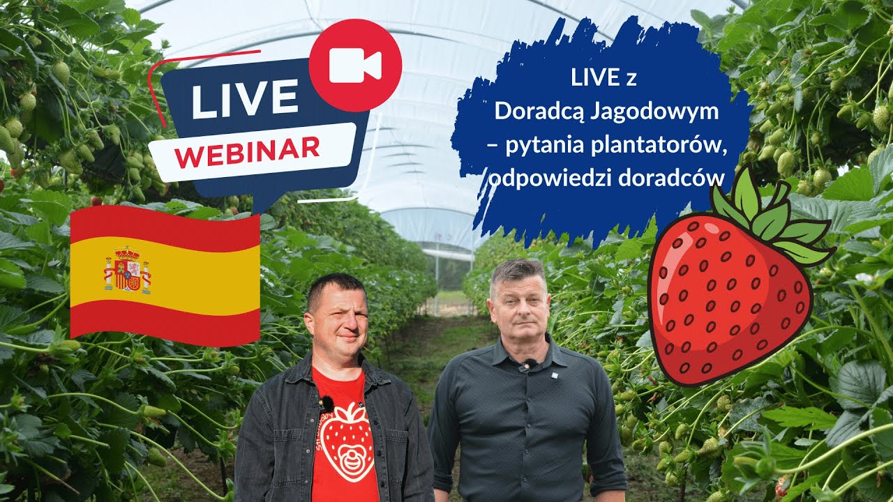 Live z Doradcą Jagodowym - pytania plantatorów, odpowiedzi doradców, na żywo i za darmo.