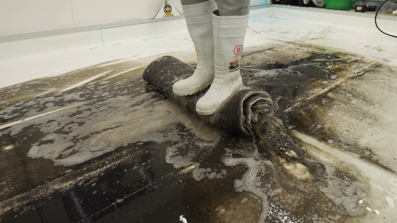 Like Cleaning a Fluffy Cloud 😶&zwj;🌫️  - This Rug&rsquo;s Transformation Is UNREAL!