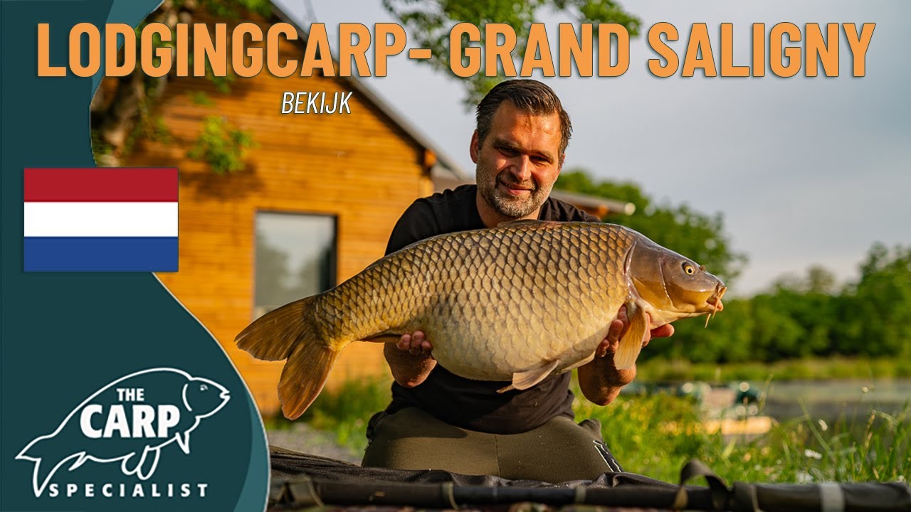 Grand Saligny 🇫🇷 – luxe karpervisvakantie in Frankrijk: privé lodge, natuur & GROTE KARPERS!