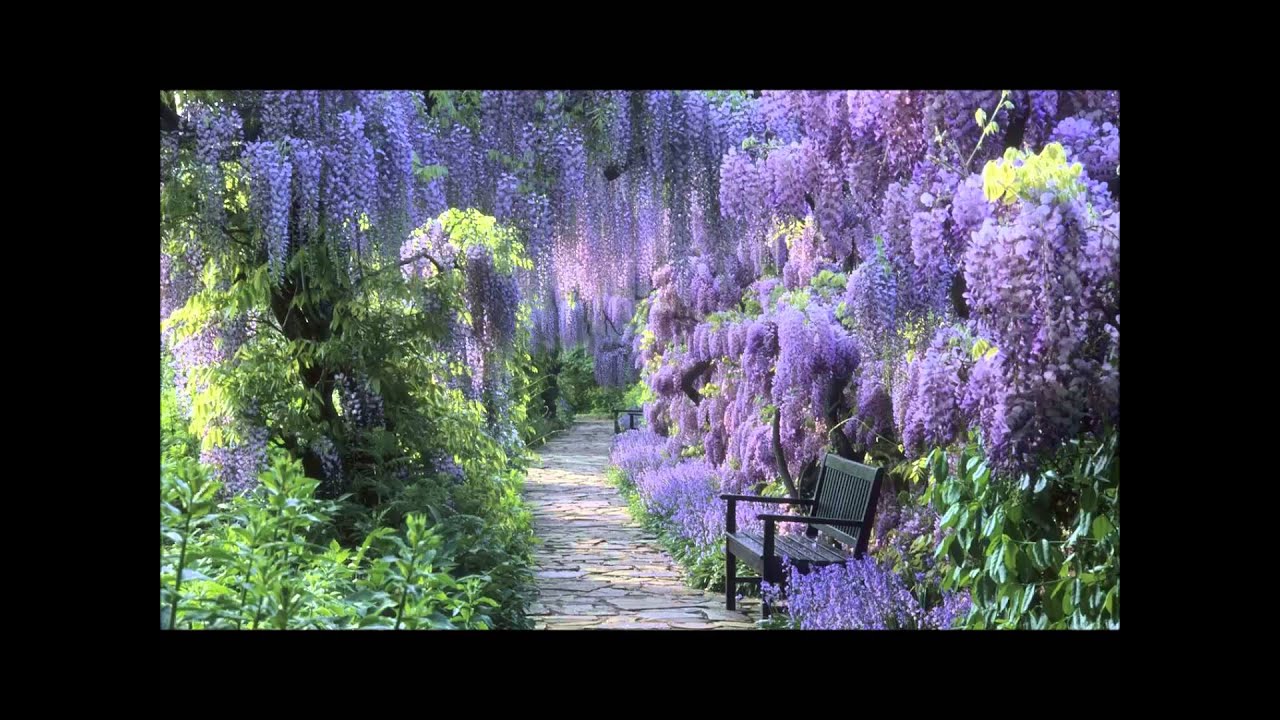 Ian Clarke - Maya for two flutes and piano