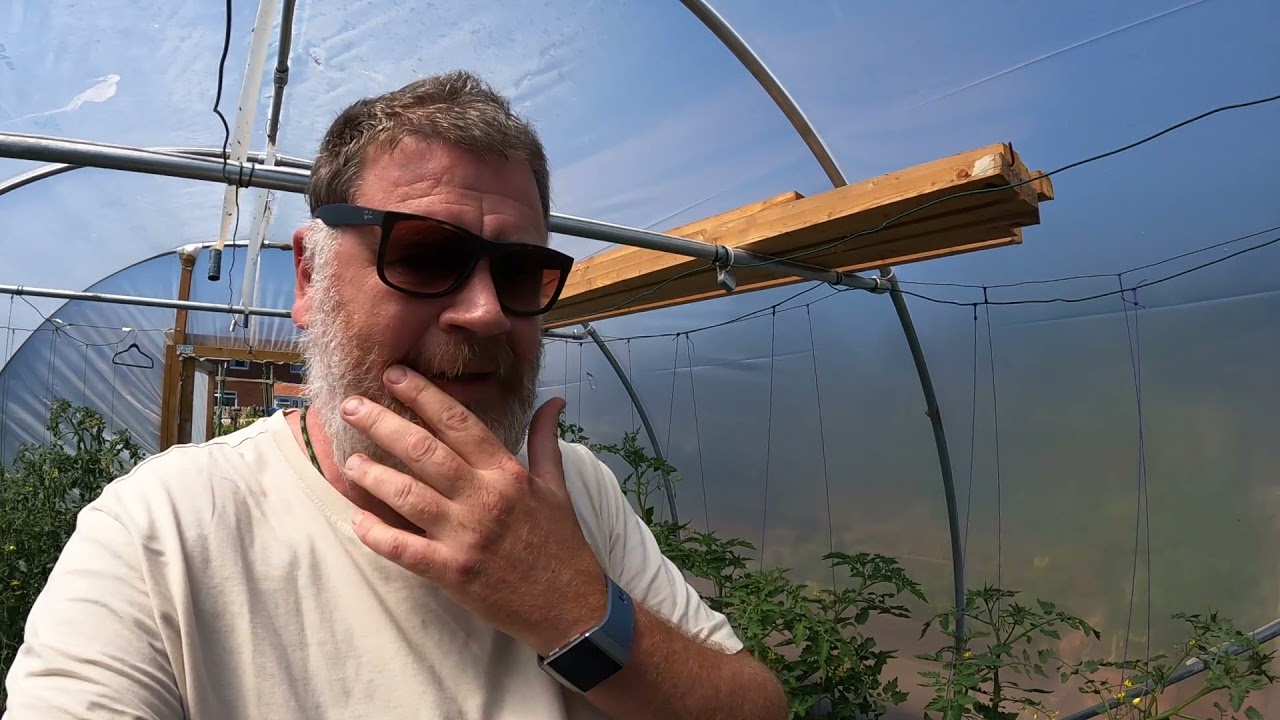 Poly Tunnel Inspection | Mid Season Tour | Is Everything Okay