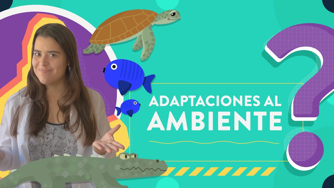 Adaptaciones al ambiente