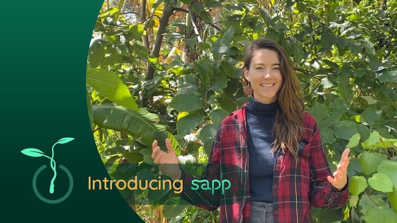 Syntropic Agroforestry & Permaculture Planner