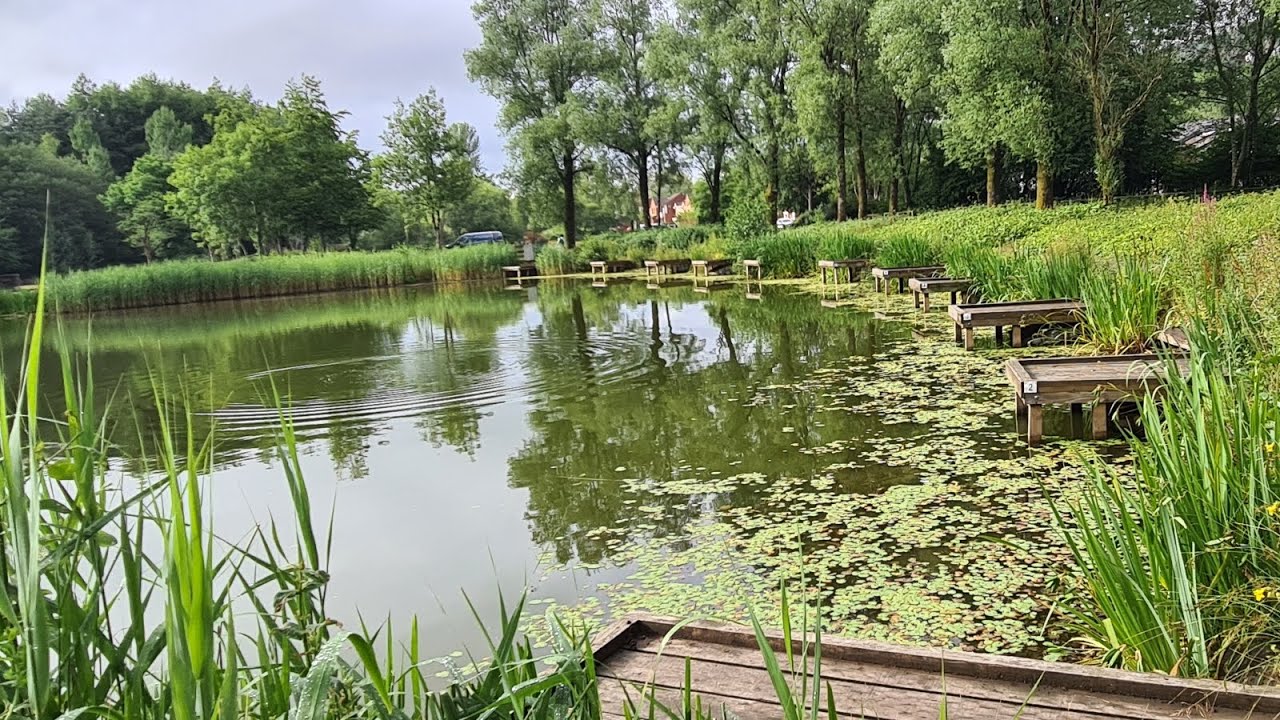 Garden Festival Angling Headguarters 🎣Wales .