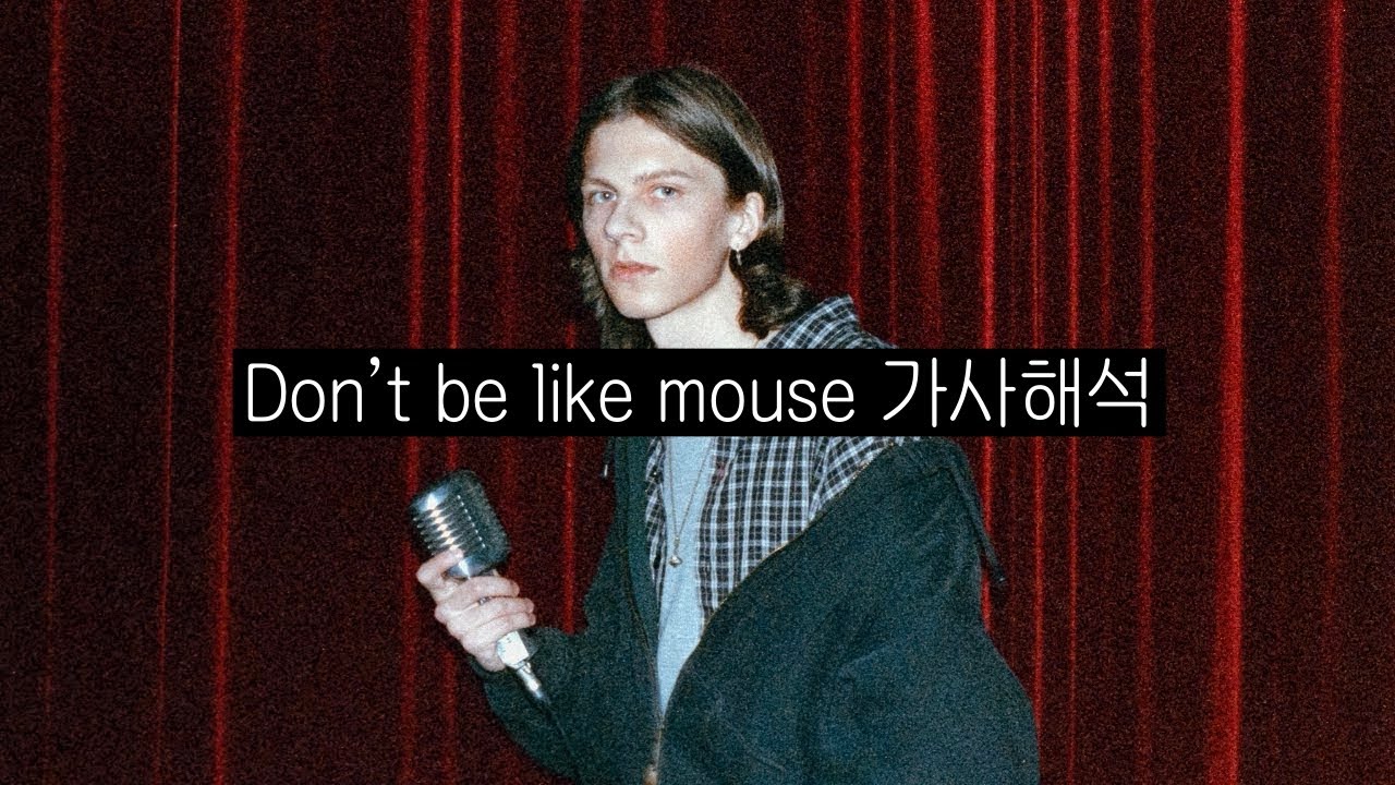 kmoe - Don't be like mouse (가사해석/Lyrics)