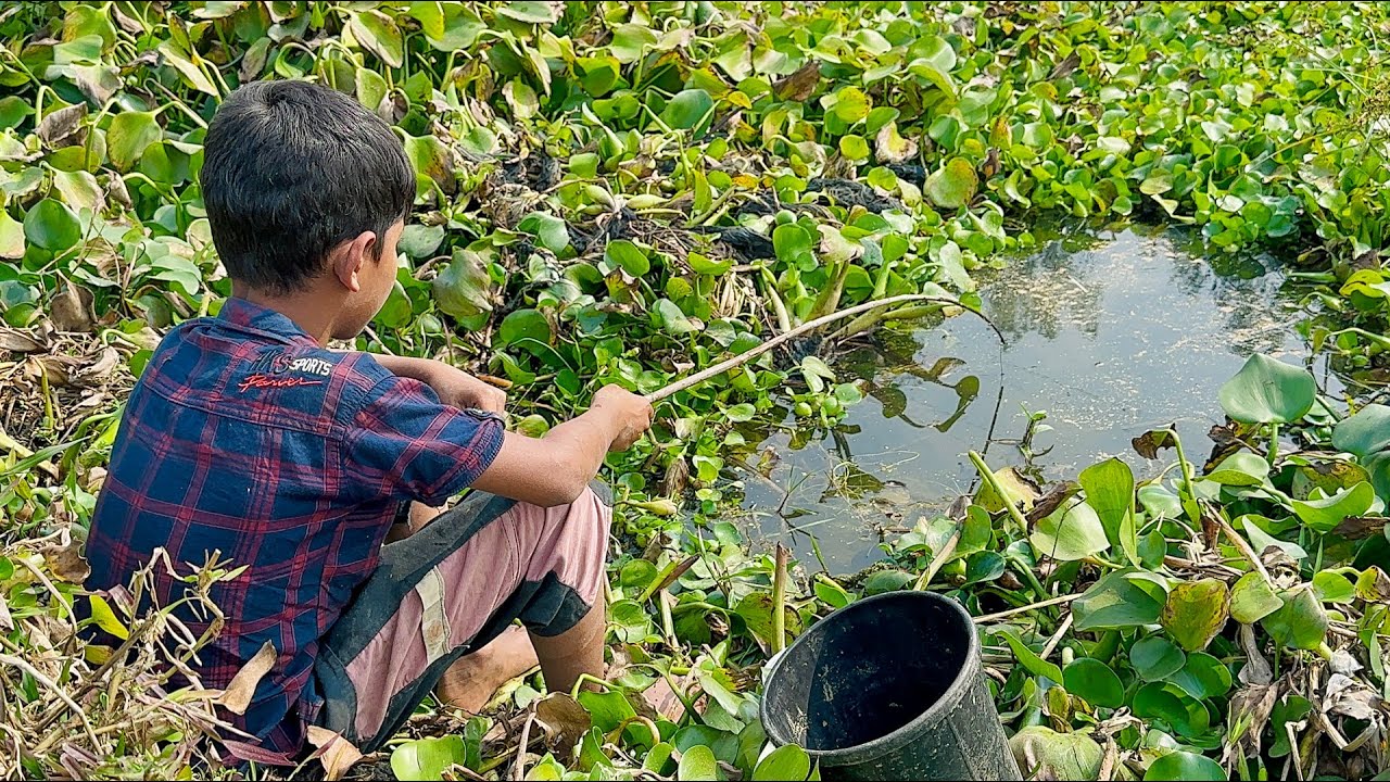 Little boy hunting catching fish by rod ~ Traditional hook fishing in the village canal 🥰🥰