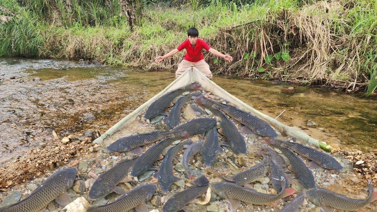 This is the full video of Lam's 15-day fishing trip to a large stream. He caught a lot of fish.