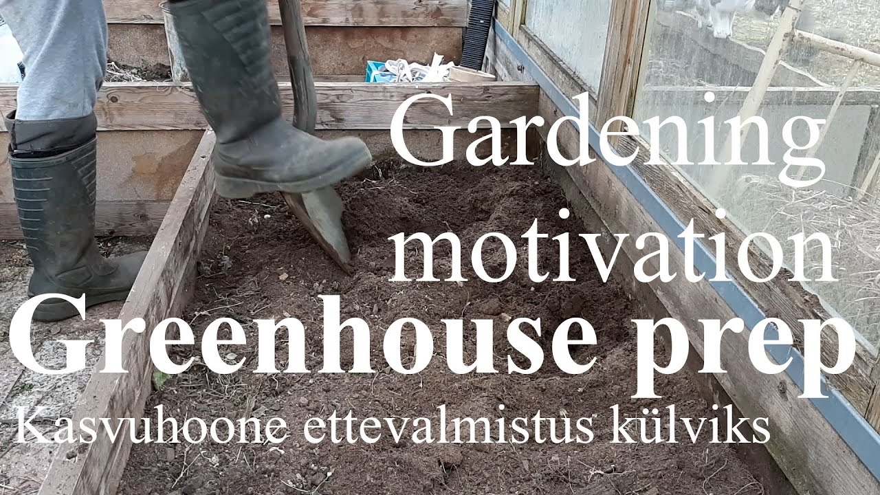 Gardening motivation, greenhouse prep. / Kasvuhoone ettevalmistus k&uuml;lviks.