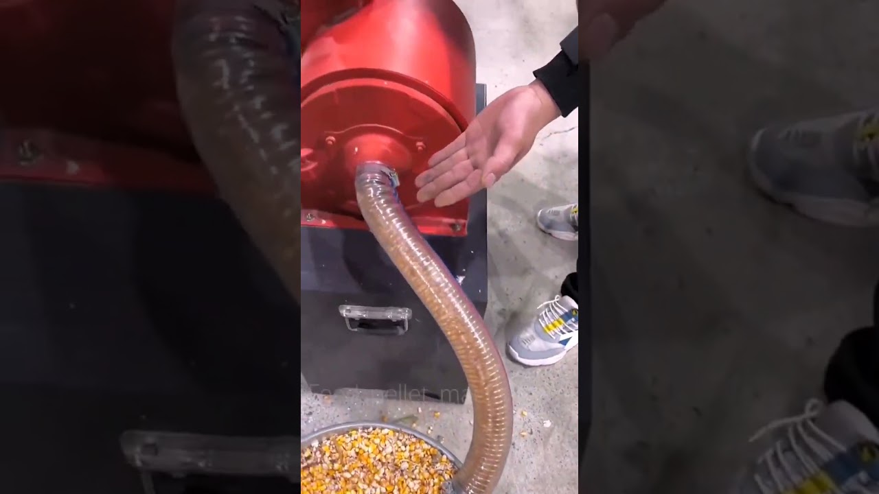 Raised bar mill for pulses grinding #youtubeshorts #miniagricuture #corncrop #automobile #minic