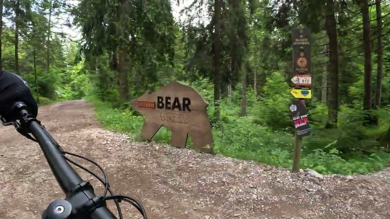 blade runner e matrix molveno