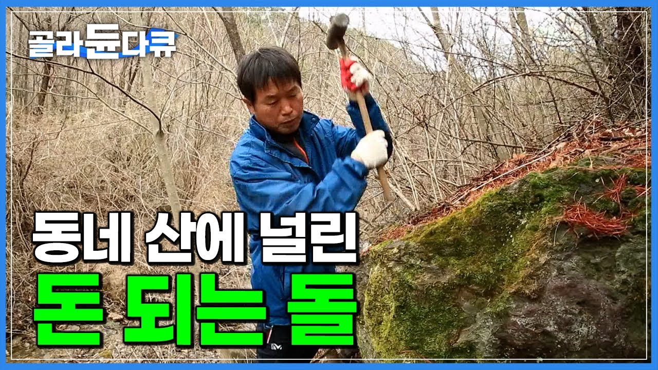 “오늘도 잘 가져갑니다~” 동네 산에 널린 돈 되는 돌의 정체┃’투박한 돌 속에 핀 꽃’ 자연의 걸작품 청송 꽃돌┃수석┃한국기행┃#골라듄다큐