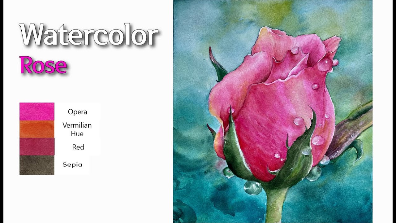 🌹수채화 장미그리기 How to paint a rose in watercolor painting