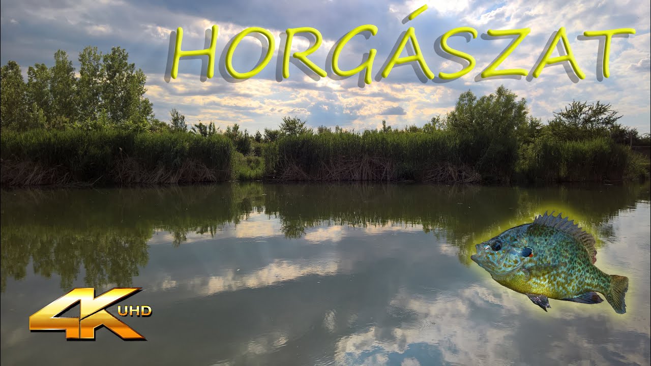 Horgászat a Keleti Főcsatornánál - Édesvízi Horgászat #2 ・ 4K UHD Video