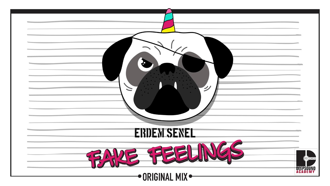 Erdem Senel - Fake Feelings(Original Mix)