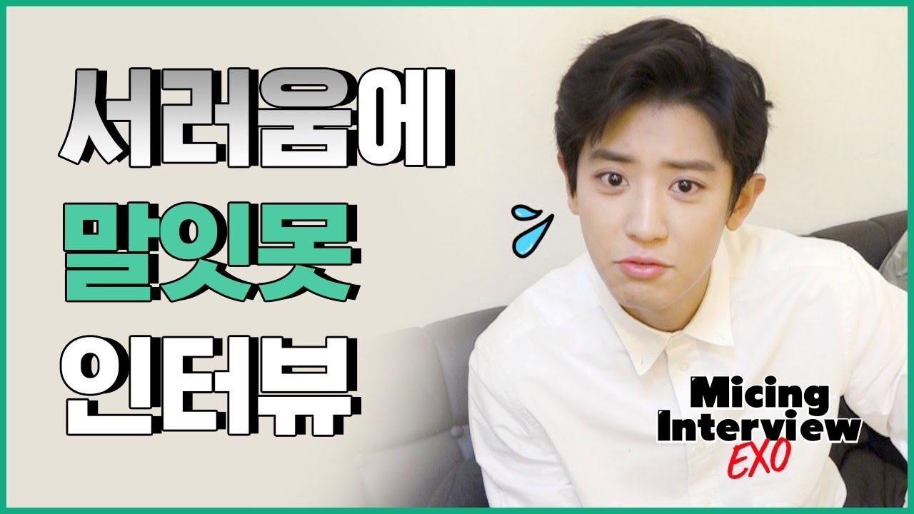 Micing Interview_ EXO 엑소 #2
