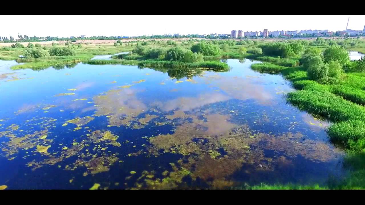 Rezervatia Naturala Vacaresti