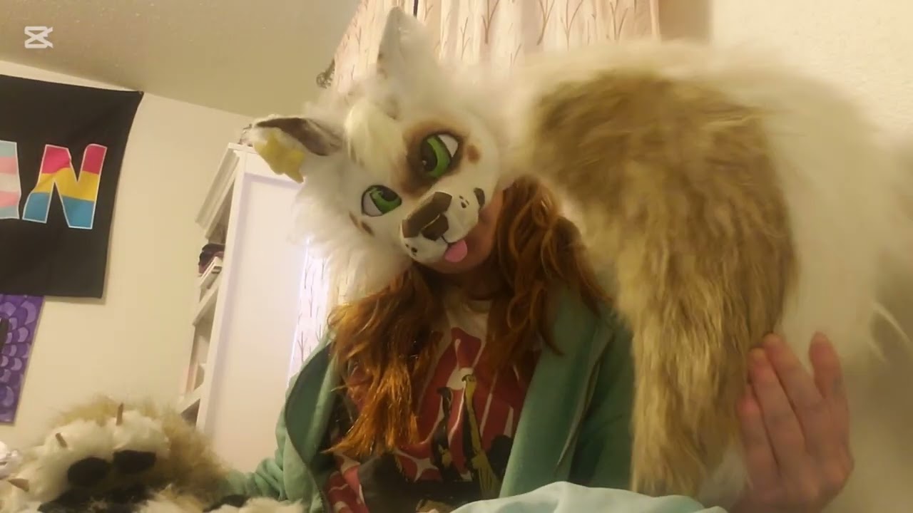 That QnA I Never Got Around To!