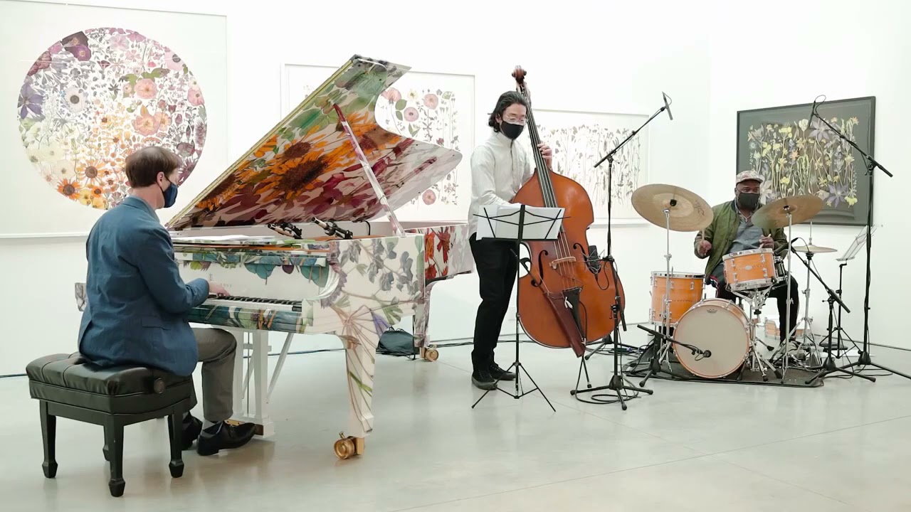 Adam Birnbaum - Stebbins Road - Adam Birnbaum piano, David Wong bass, Rodney Green drums - jazz