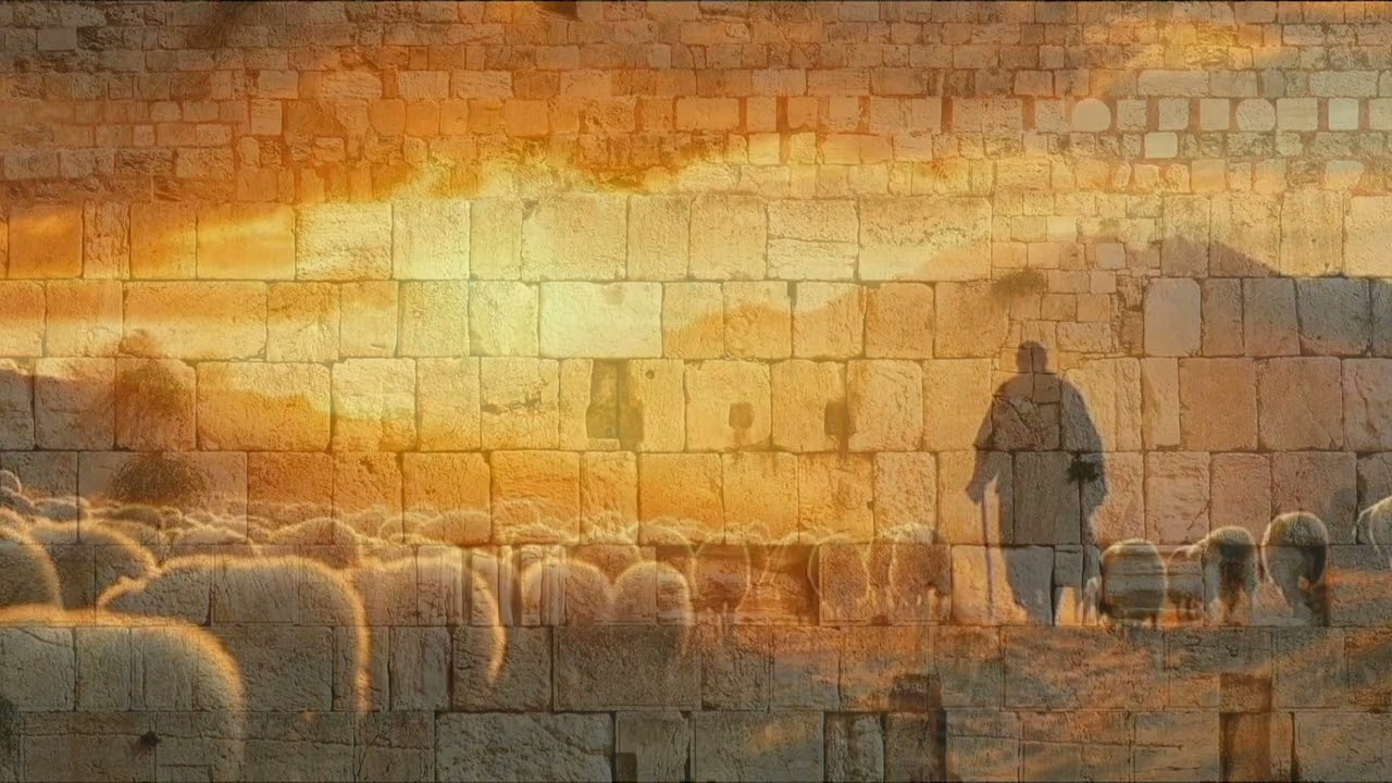 Hashem, meu pastor 