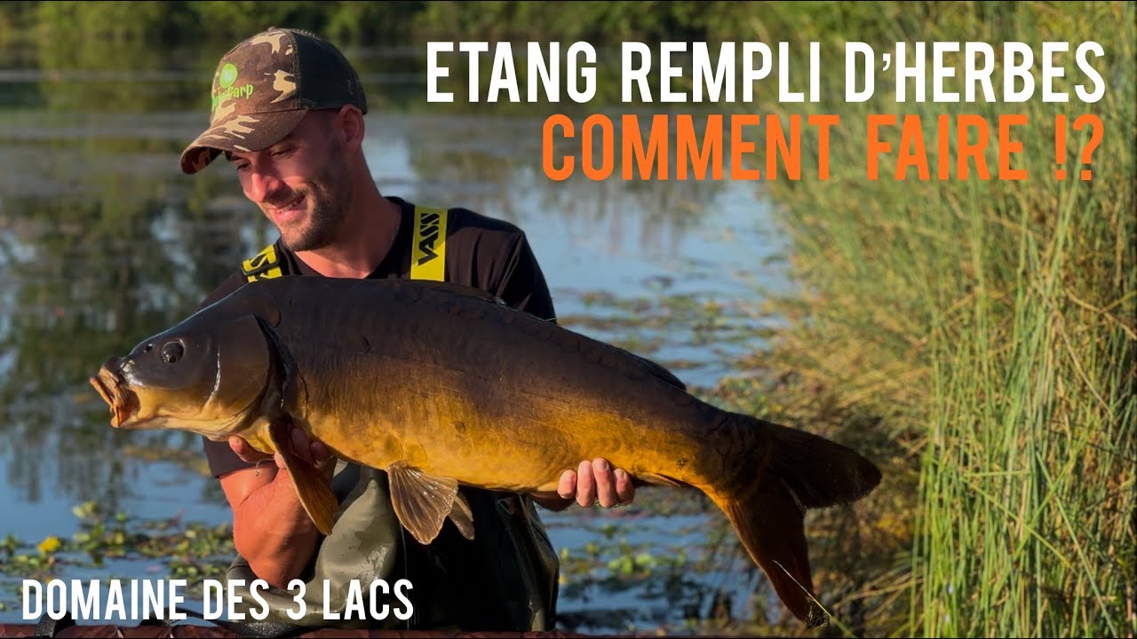 Pêche de la carpe face aux herbes au domaine des 3 lacs 4K