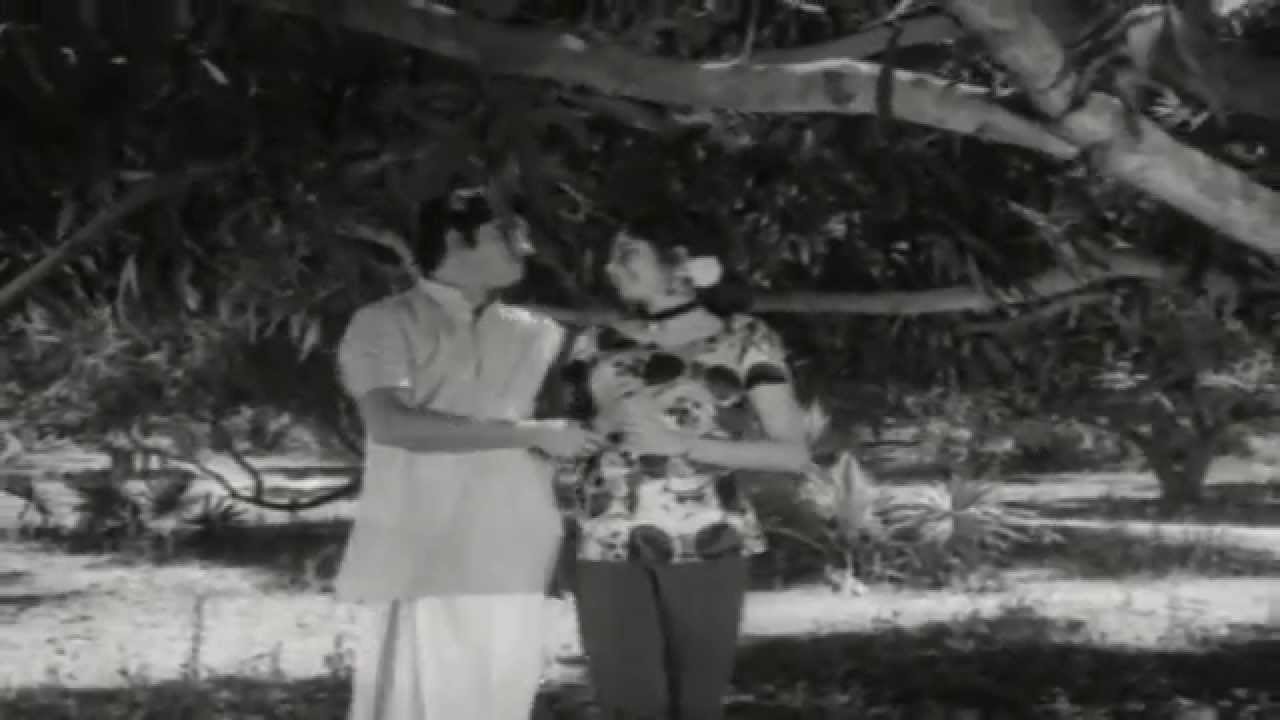 Anjhana Mizhikalil || College Girl || Malayalam Film Song