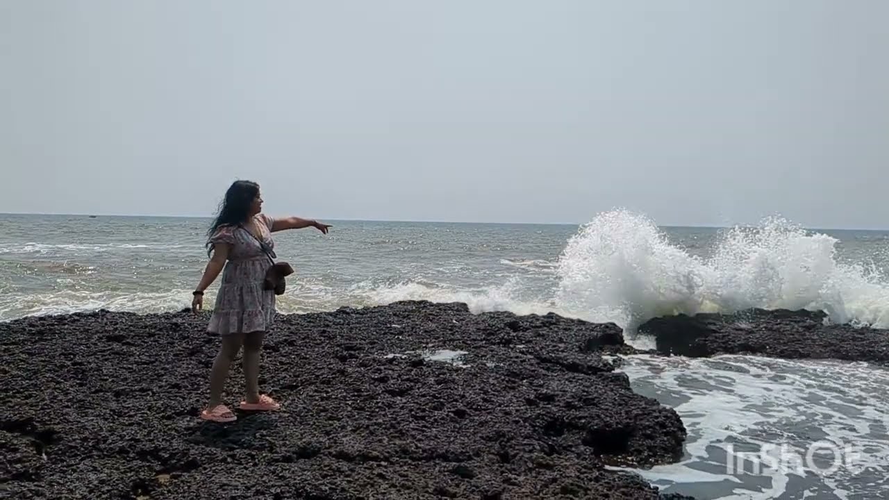 Go Goa Gone