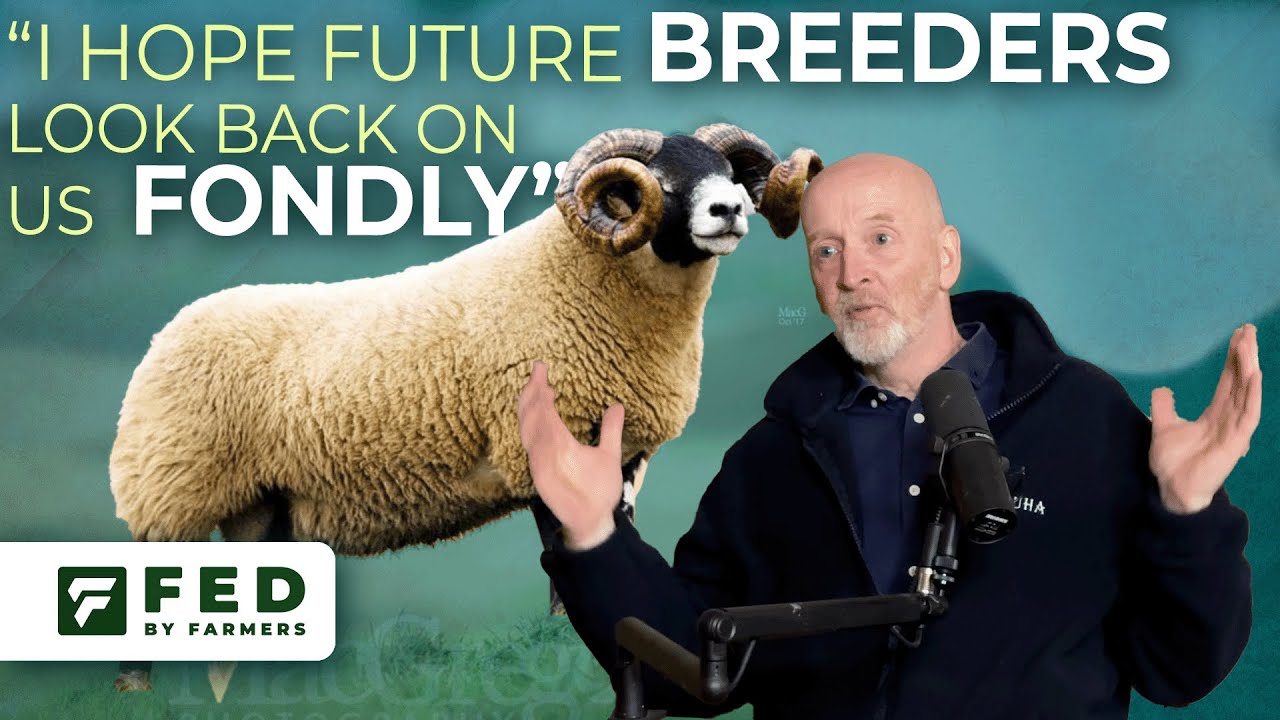 Ewen McMillan - Does the Scottish Blackface breed need to change?
