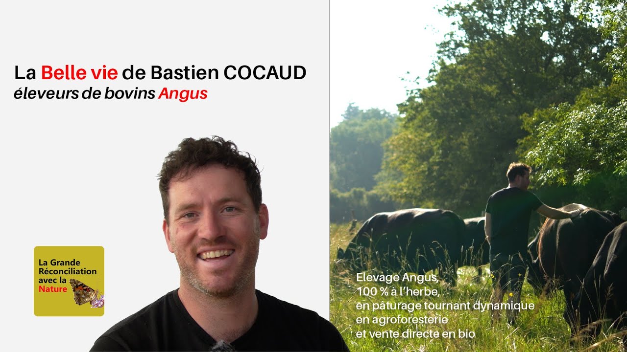 La Belle Vie De Bastien Cocaud, éleveur de bovins Angus