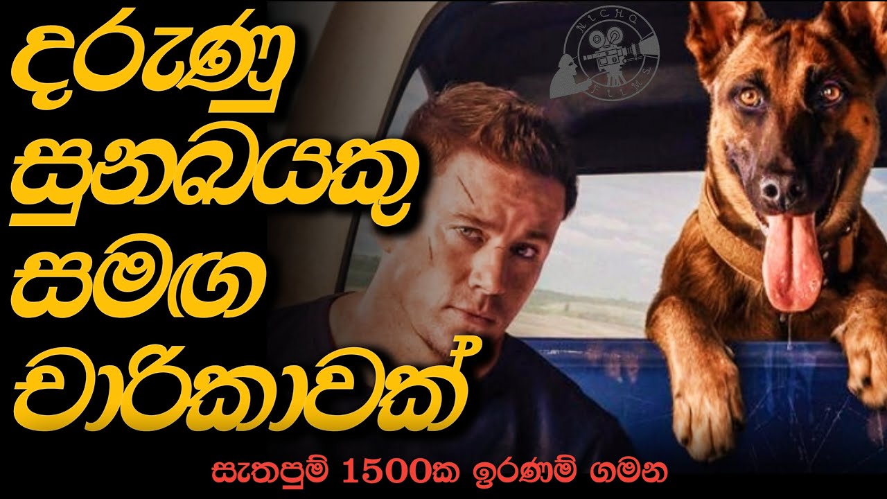 The Touching Tale of Journey of Man and Canine by NICHO FILMS